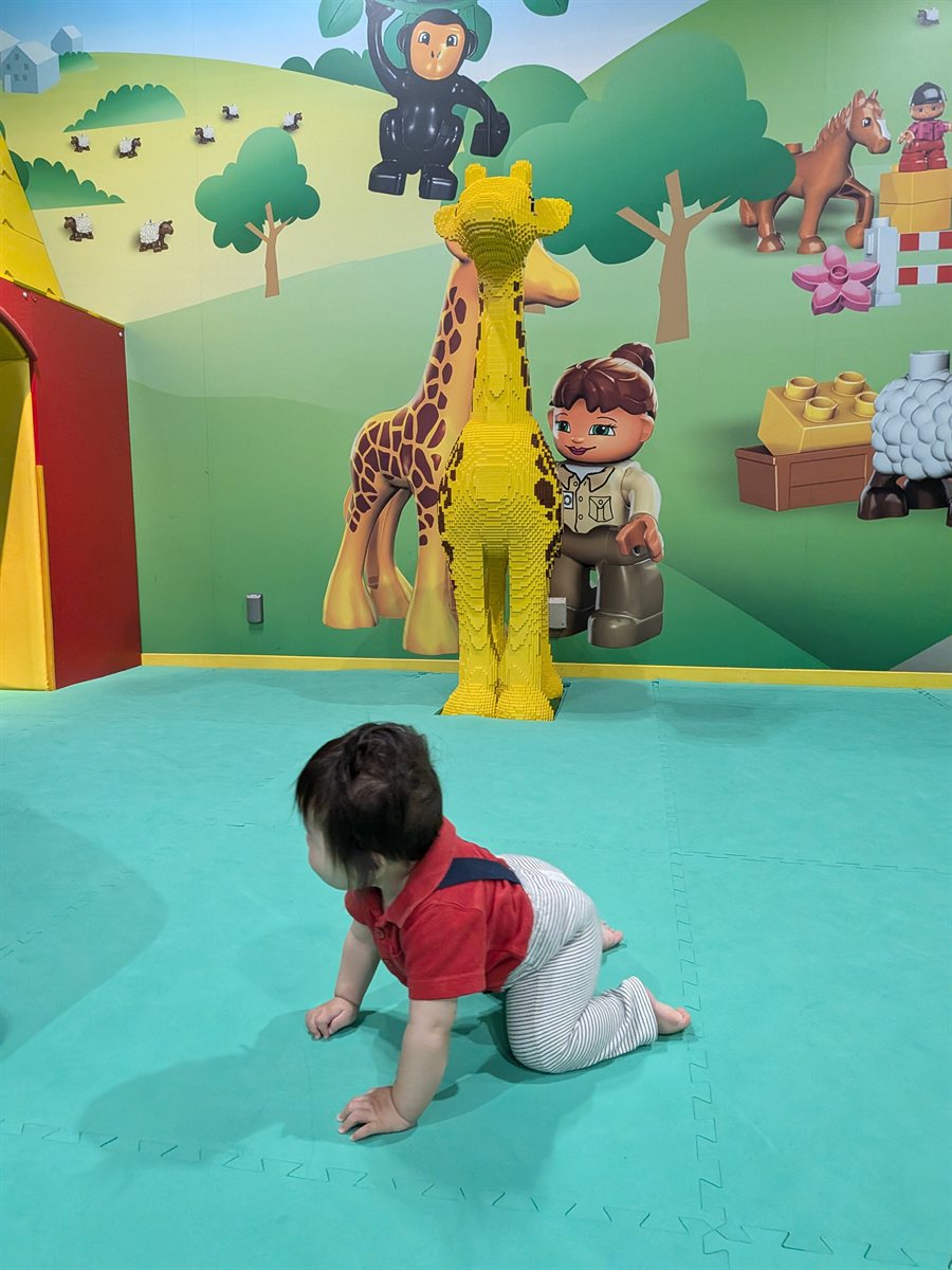 デュプロビレッジで床をはいはいする下の子