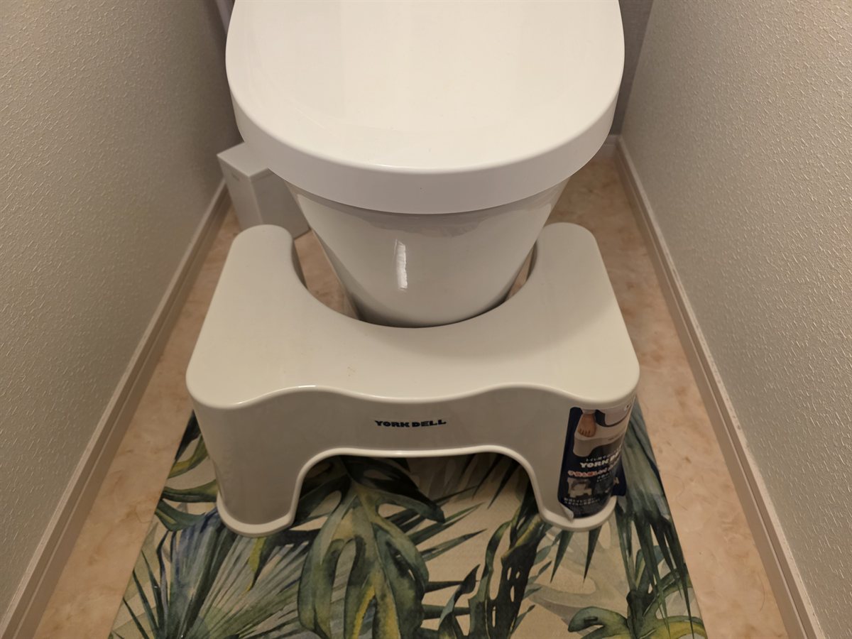 洋式トイレに設置したトイトレ用踏み台